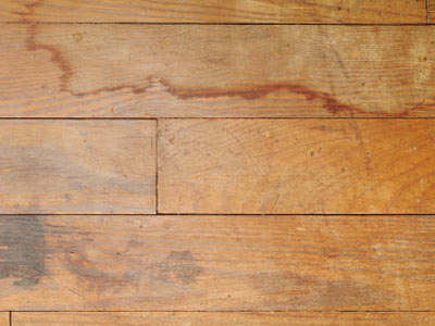 Understanding Different Hardwood Floor Problems